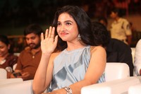 Vishwanath and Sons Telugu Pre Release Event